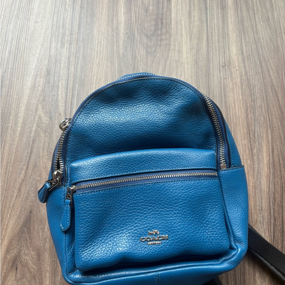 Coach Teal Leather Backpack